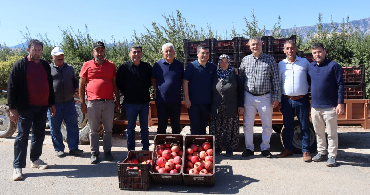 Döşemealtı'nda Nar Hasatı