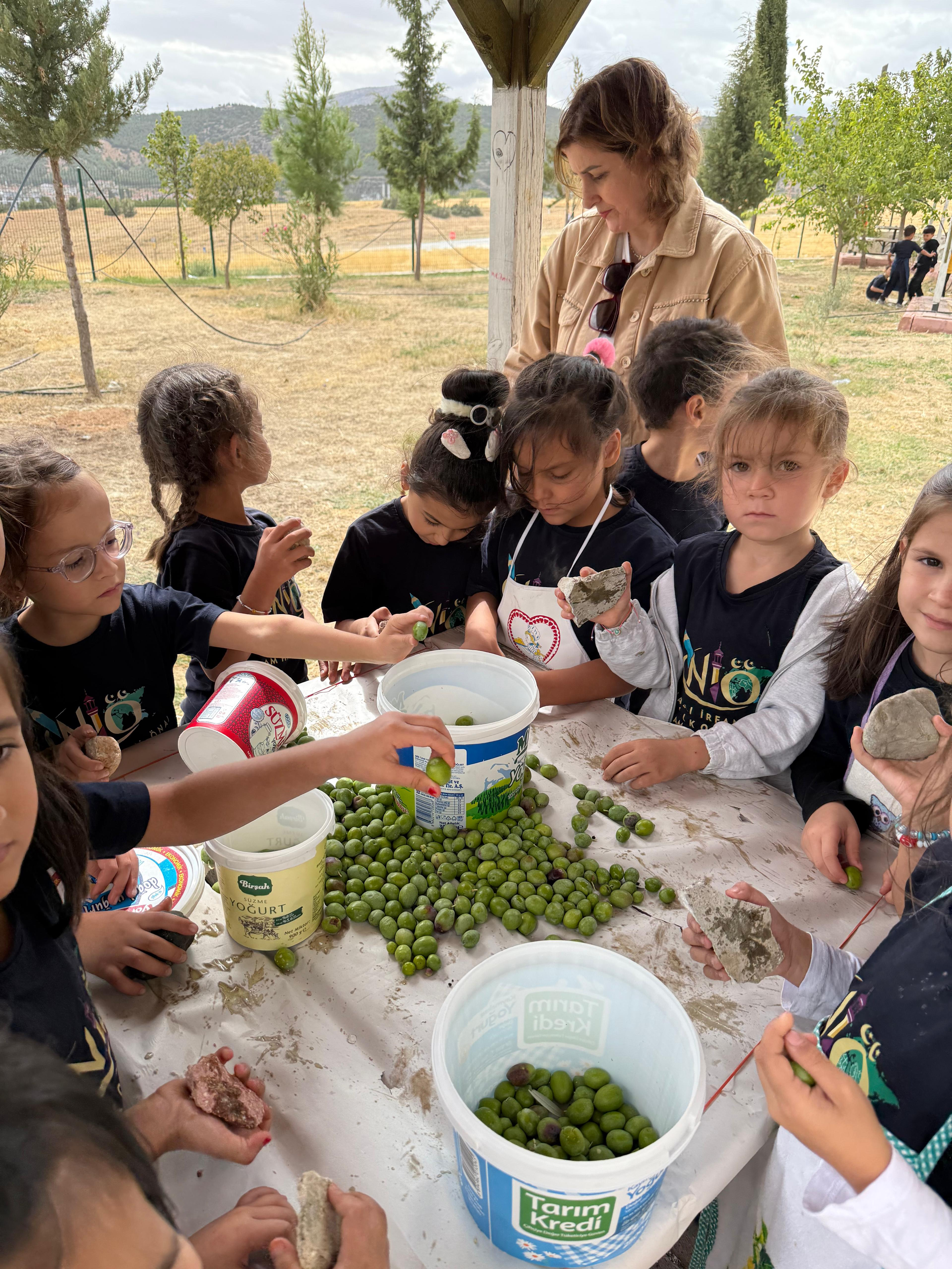 Miniklerden Zeytin Hasadı