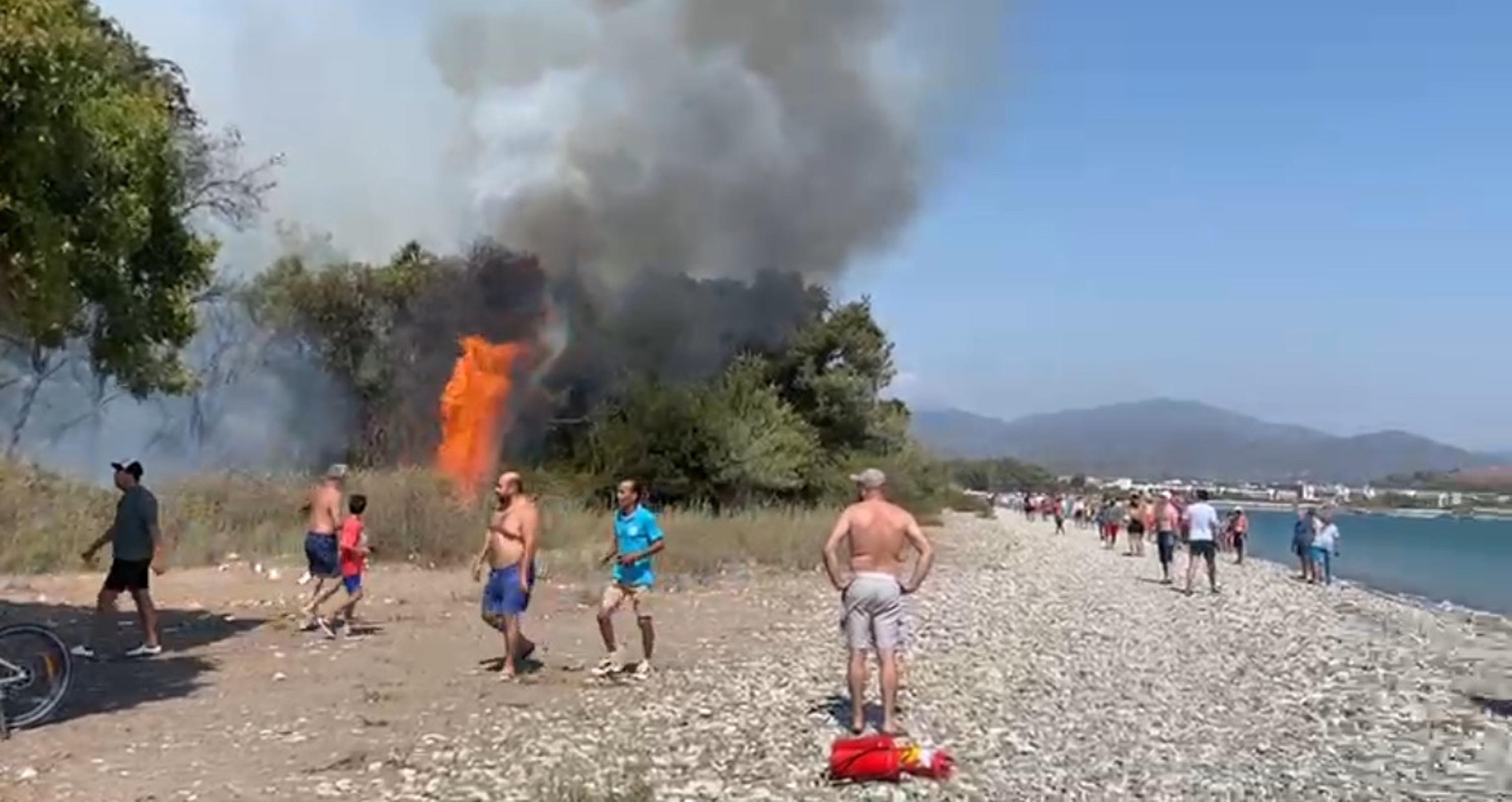 Muğla'da Orman Yangını