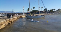 Antalya’da fırtına; ağaçlar devrildi, tekne battı