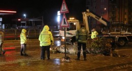 Denizli’de kuvvetli rüzgar; çatılar uçtu, ağaçlar devrildi