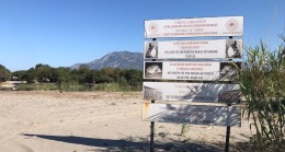 ANTALYA Patara’da caretta yuva rekoru