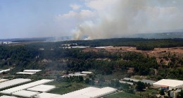 Antalya’da orman yangını