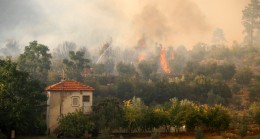 Antalya’daki orman yangınında 65 hektar kül oldu