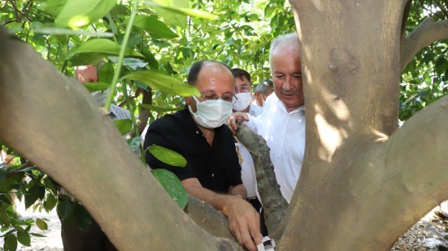 AKSU’DA FAYDALI BÖCEK SALIMI