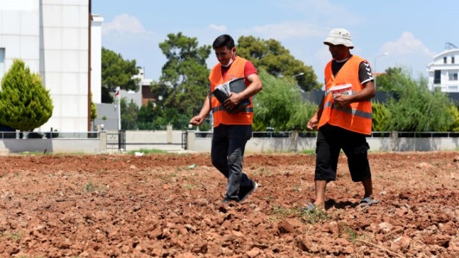 Muratpaşa’da Susam Tarımı Başladı