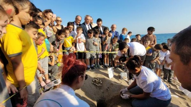 Manavgat’ta 16 Bin Kaplumbağa Yavrusu Denize Ulaştı