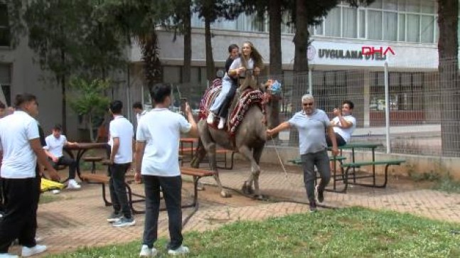 ANTALYA Öğretmenlerin deve sınavı