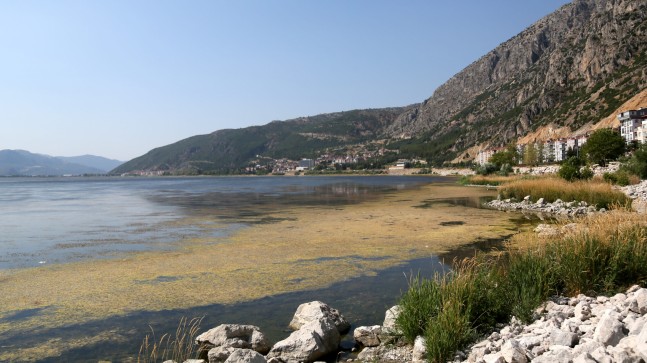 ISPARTA ‘Algler, Eğirdir Gölü’nü battaniye gibi kapladı’