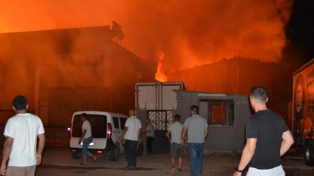 Manisa’da kuru gıda deposunda yangın