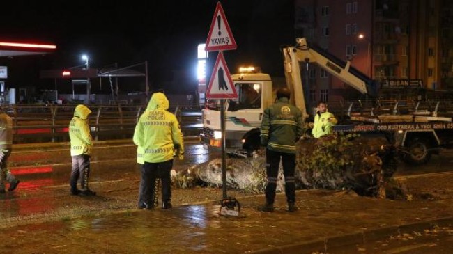 Denizli’de kuvvetli rüzgar; çatılar uçtu, ağaçlar devrildi