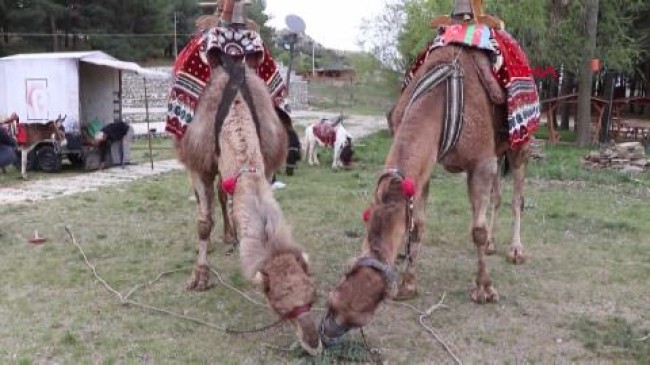 BURDUR Turizm Haftası temsili yörük göçüyle başladı