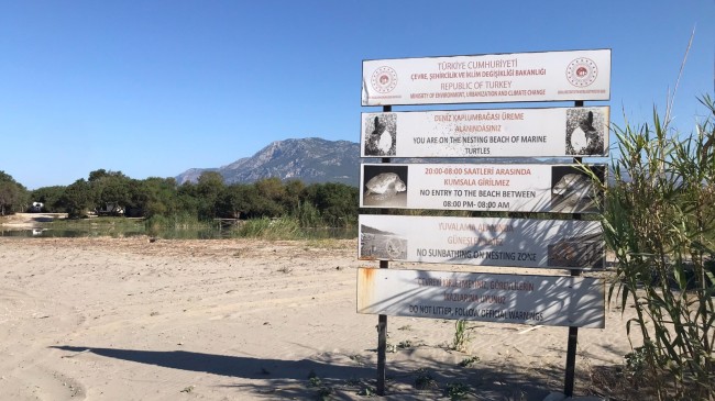 ANTALYA Patara’da caretta yuva rekoru