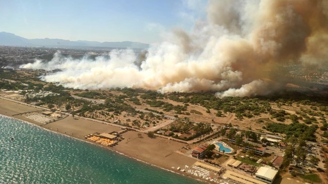 Antalya’daki orman yangınında 30 hektarlık alan zarar gördü