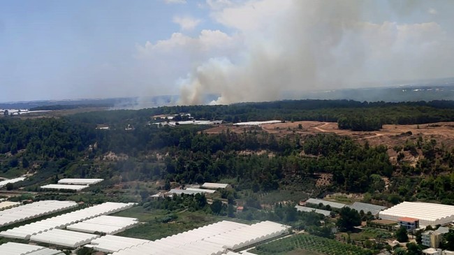 Antalya’da orman yangını