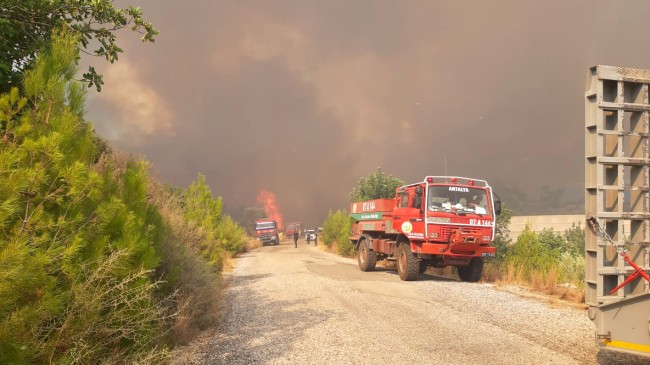 Antalya’da orman yangını