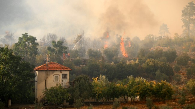 Antalya’daki orman yangınında 65 hektar kül oldu